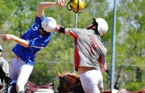 Horse-Ball