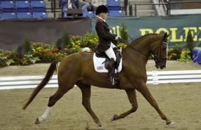 Para-Dressage