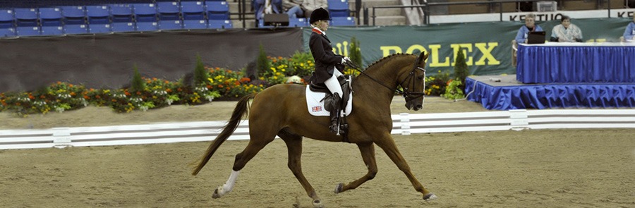 Para-Dressage