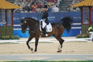 Para-dressage