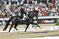Alltech FEI World Equestrian Games 2010