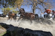 Alltech FEI World Equestrian Games 2010