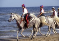 Endurance World Champion Valerie Kanavy (USA) and Pieraz - ©Kit Houghton / FEI