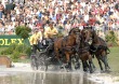 Ysbrand Chardon - NED leading driver after the marathon phase - ©FEI