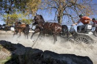 Ijsbrand Chardon in Marathon - ©Rinaldo de Craen/FEI
