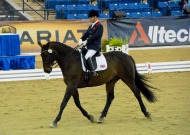 Lee Pearson (GBR) riding Gentleman - ©Kit Houghton / FEI