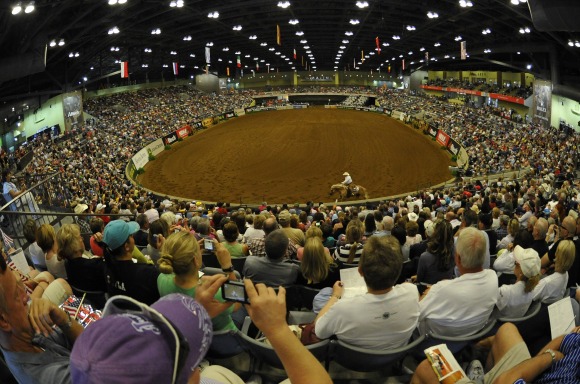 L'ar� de Reining L'ar� de Reining