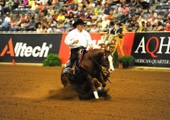 Tom McCutcheon (USA) riding Gunners Special Nite Individual Gold Medallist - ©Peter Nixon /FEI