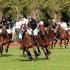 Polo Game - ©Sandrine Boyer