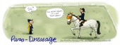 Para-Dressage