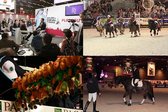 Salon du Cheval de Paris 2013 Salon du Cheval de Paris 2013