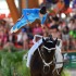 Vaulting