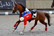 Horse Ball - ©Horse-Ball M³