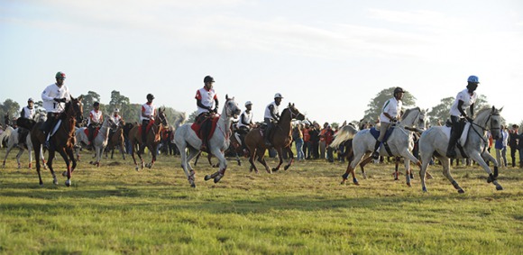 FEI Bureau allocates FEI World Equestrian Games™ 2018 to Canada 