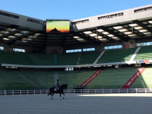1er cheval au stade d'Ornano - 12 juin 2014