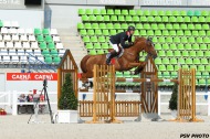 Patrice Delaveau & Quenndal de Lojou HDC - test events - 26 June - ©PSV Photos