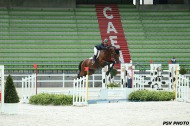VAGABOND DE LA POMME : LEPREVOST Pénélope : - 2014 Test Events - Jumping - 26 June 2014 - ©PSV Photos