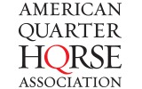 Quarter Horse