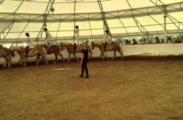 Georges Cotrait Equestrian Vaulting Academy