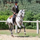 Southern French horse riding traditions