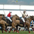 Polocrosse 