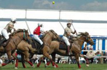 Polocrosse 