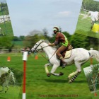 Pony Games
