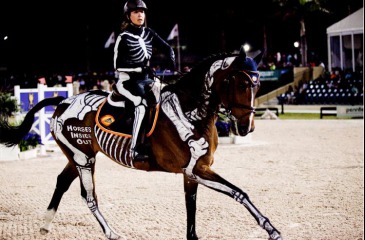 Horse Inside Out 