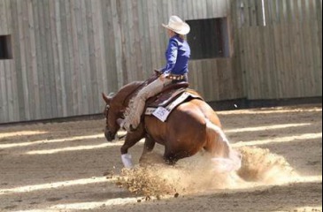 Reining  Demonstration