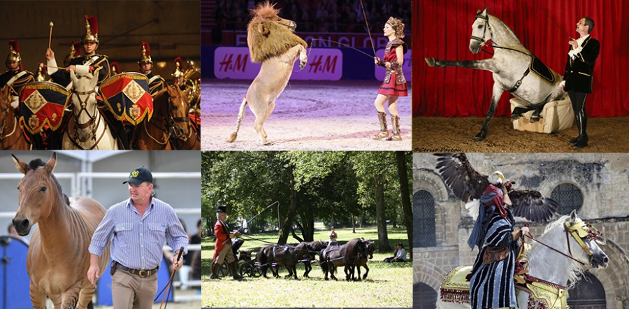 Entertainment schedule