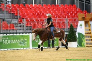 Reining - ©PSV Photos