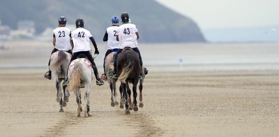 How to follow the Endurance competition? 