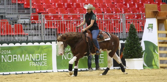 Excitement builds as Reiners prepare for the Alltech FEI World Equestrian Games 2014 in Normandy