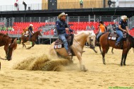 Reining - August 25th - ©PSV Photos