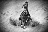 Reining - August 25th - ©Sindy Thomas