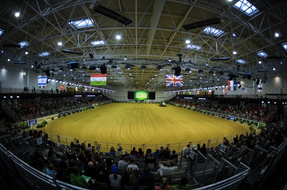 Reining:  The show is on as athletes prepare for the Individual Final