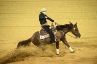 Reining 25th August - ©Sindy Thomas