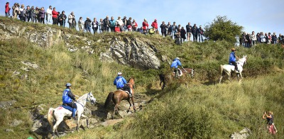 Dutch investment in Endurance pays off