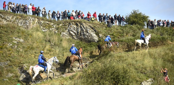 Dutch investment in Endurance pays off