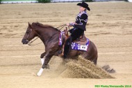 Reining  - Francesca STERNBERG - TEN REASONS - GBR - ©PSV Photos