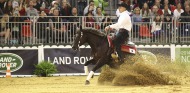Reining - Rudi Kronsteiner - ©PSV Photos
