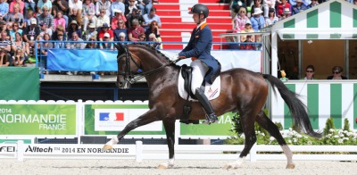 Diederik van Silfhout creates a surprise