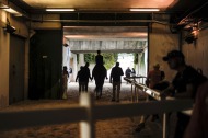 Dressage Grand Prix Freestyle - ©Sindy Thomas