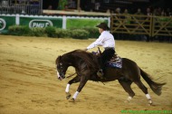 Reining - August 30th - ©PSV Photos