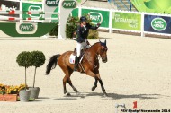 Maxime Livio - Qalao Des Mers - FRA - Eventing  - ©Comité d'Organisation Normandie 2014