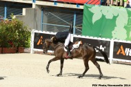 Michael Jung - Fischerrocana FST - GER - Eventing  - ©Comité d'Organisation Normandie 2014