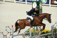 William Fox-Pitt - Chilli Morning - GBR - Eventing  - ©Comité d'Organisation Normandie 2014