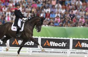 Dressage