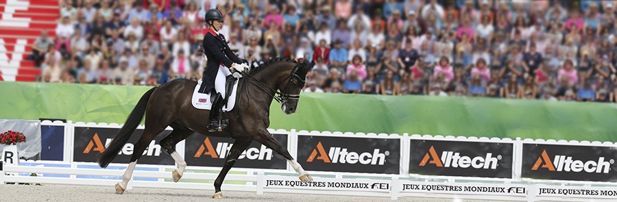 Dressage