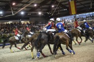 Horse ball / 30 August 2014 - ©Sindy Thomas